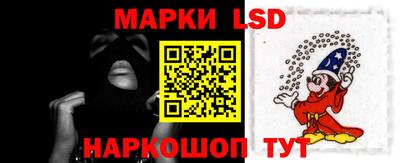 крисы Аргун